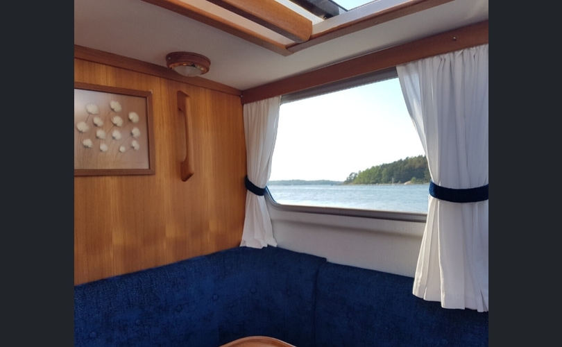 Albatross Flying 871-kuva-7